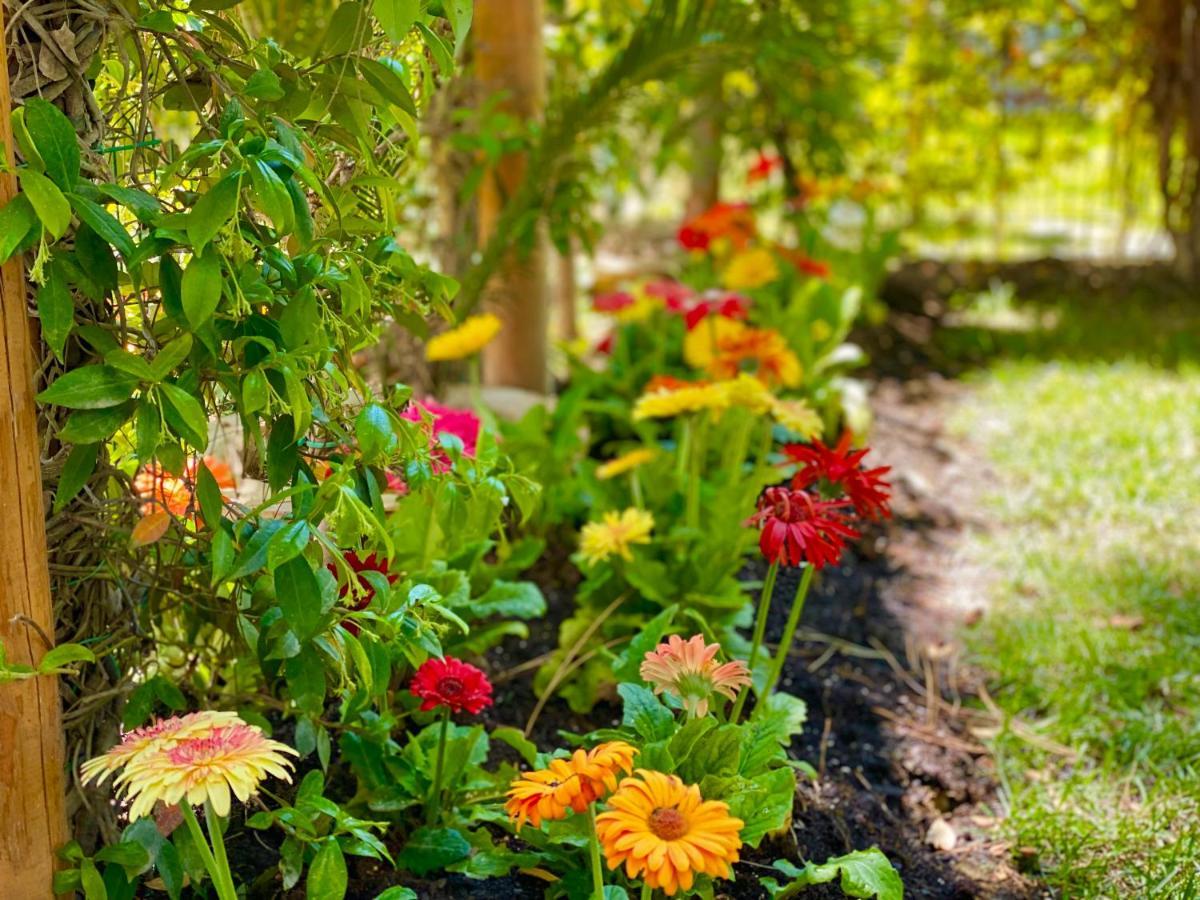 Beach Garden Paradise Durrës Eksteriør bilde